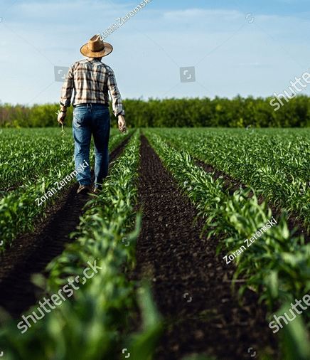 Farmer in field